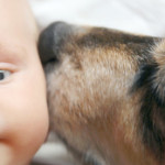 Today’s Hint: How to Prepare Your Pet for a Crying Baby